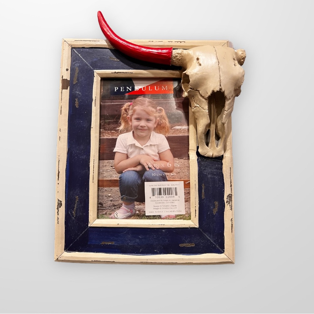 NEW Pendulum Western Steer Frame